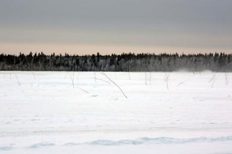 nordschweden im eiswinter