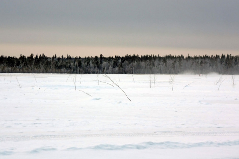 nordschweden im eiswinter