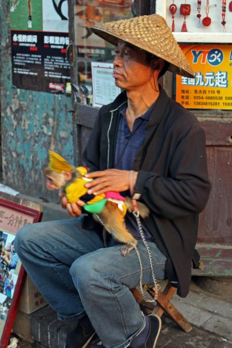 affenzirkus in china!