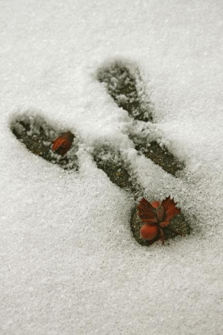 auf die natur hören und von ihr lernen!
