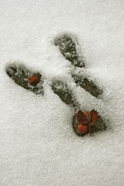 auf die natur hören und von ihr lernen!