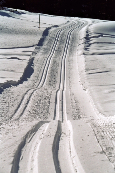 lebenswege