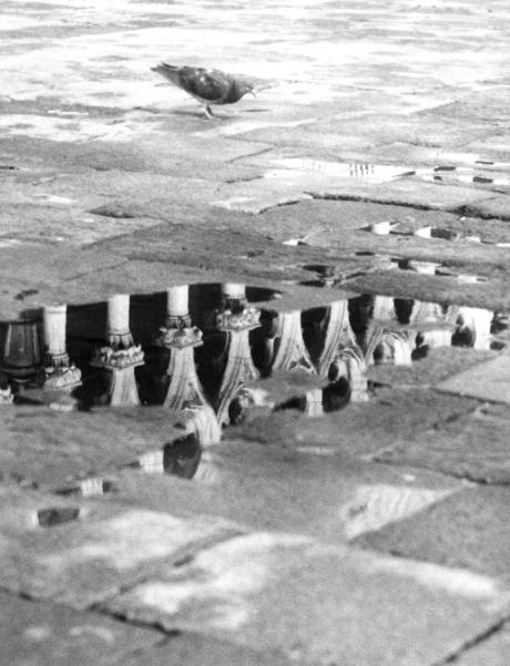 sometimes have a conversation with the mirror!  //  venezia analog