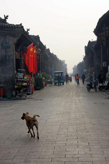 hundeleben!  //  china