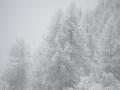 winter...