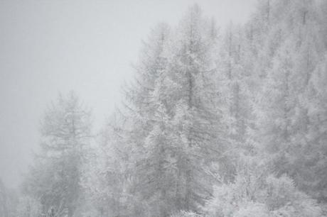 winter...