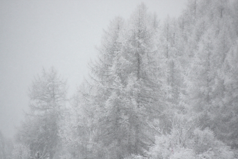winter...
