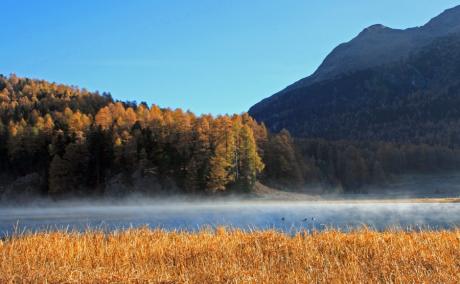 herbstmorgen ...