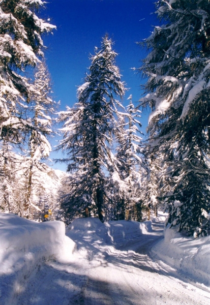 winter  //  sils maria.engadin